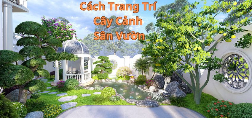 Cách Trang Trí Cây Cảnh Sân Vườn 